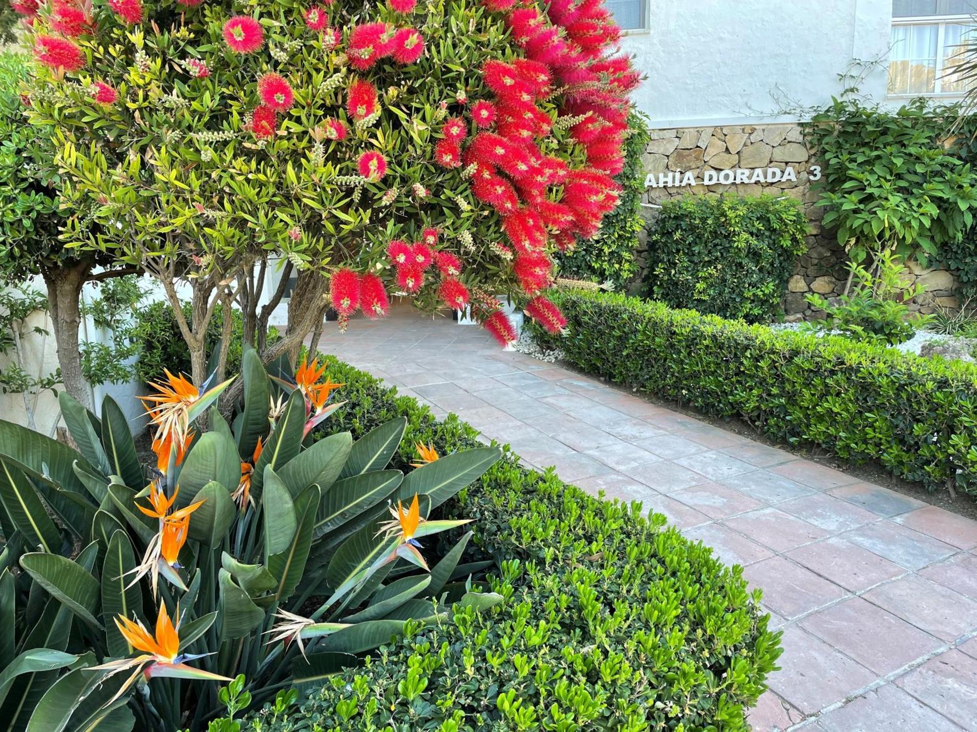 La Casa De Colores Estepona Esterno foto